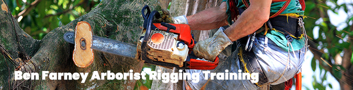 Arborist Rigging