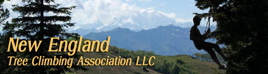 New England Tree Climbing Association LLC