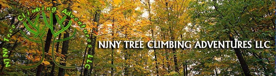 New York New Jersey Tree Climbing Adventures LLC