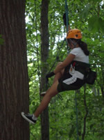 Tree Climbinb