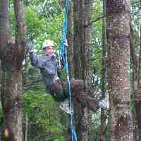 Vermont Tree Climbing
