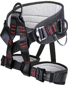 Climbing harness